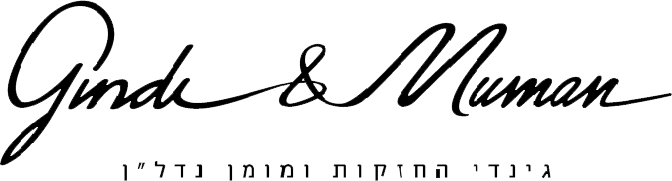 גינדי החזקות